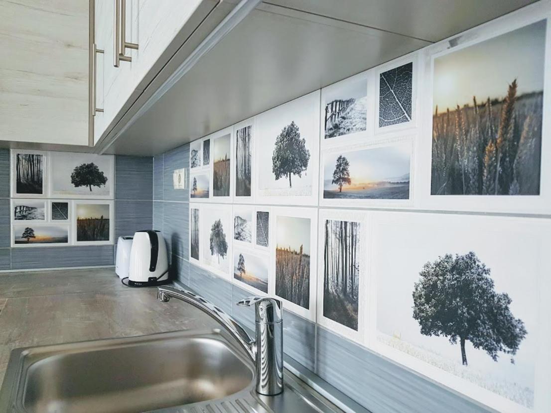 Silver Lodge Apartments Έγκερ Εξωτερικό φωτογραφία
